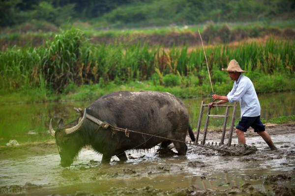 古代生活條件這麼差，面對寒冷的冬季，古人是如何避寒的