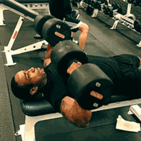 新手訓練動作大全 上