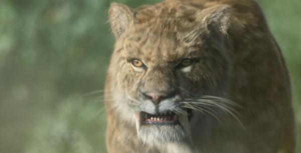 老虎有種罕見的變異，金底棕紋很漂亮，傳說中的過山黃可能就是它