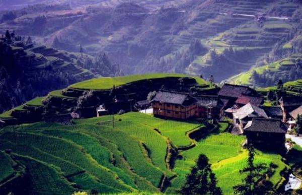 中國“長壽之王”龔來發:無兒無女活到133歲,生前愛好不太健康 中國“長壽之王”龔來發:無兒無女活到133歲,生前愛好不太健康