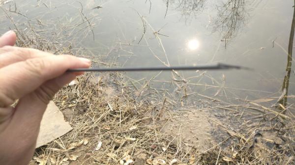 節後首釣喜獲大板鯽，高興之餘有點遺憾