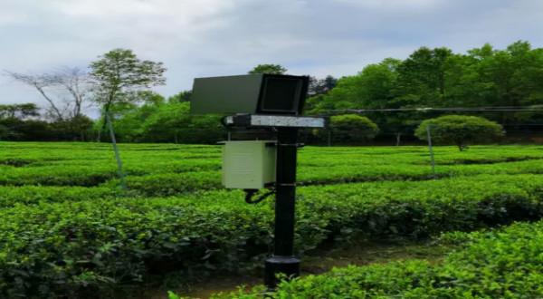 這款兵工“黑科技”，可用於安防，還能精準滅殺農業害蟲