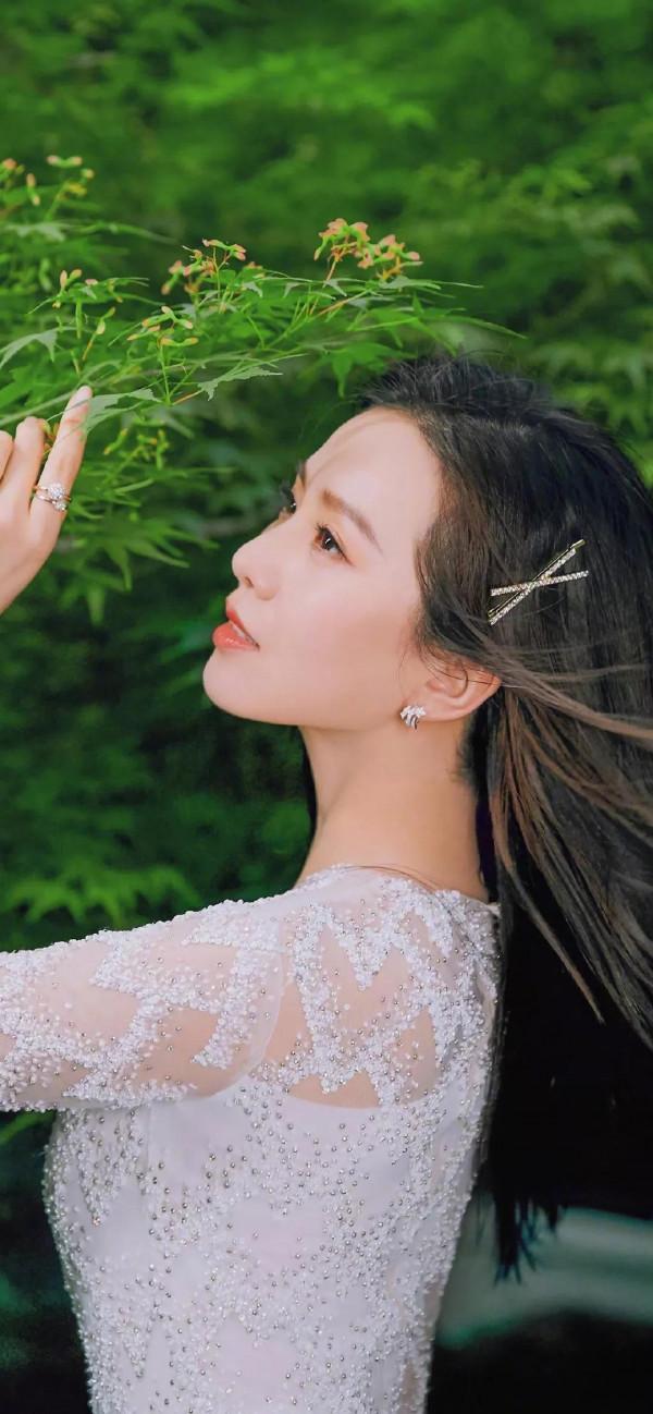 明星桌布｜劉詩詩｜039