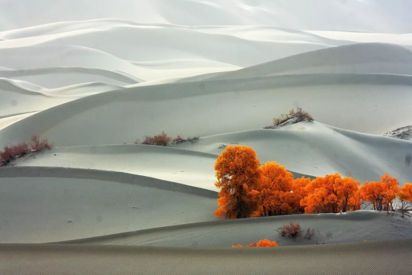 新疆剛下雪，小夥伴不淡定了：原來冬天的新疆是這樣的