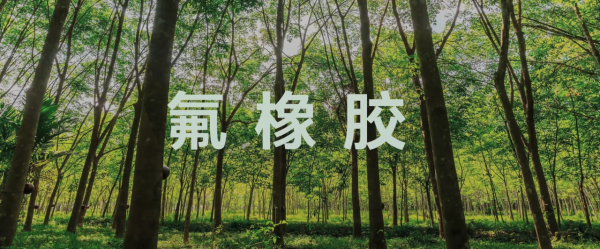 腕上智慧好助手，手錶手環全都有