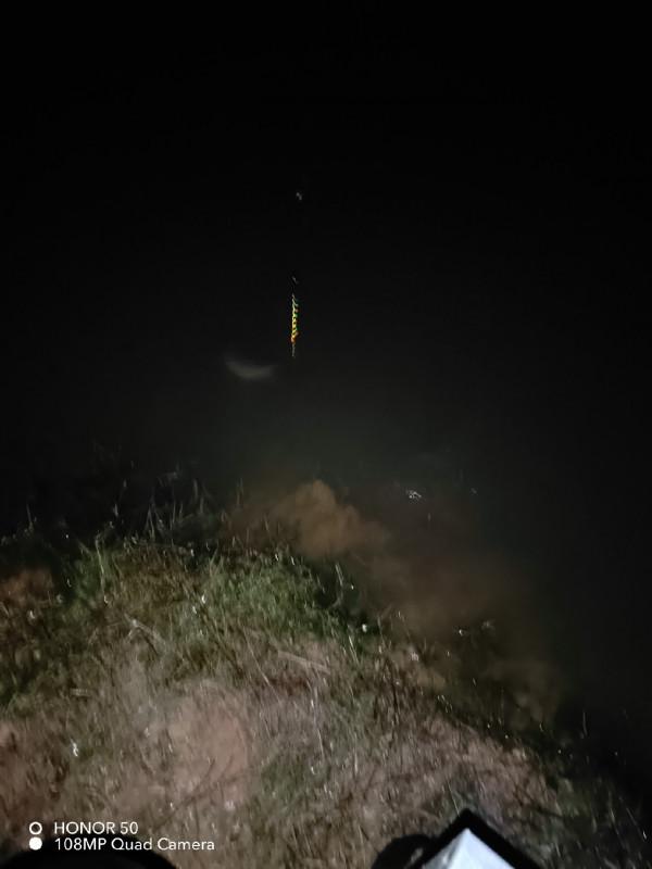 陪伴魚兒看煙花，期待新年的鐘聲