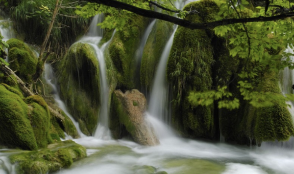 傲骨錚錚，意志力頑強的星座，寧可站著被打倒，也不會跪著求饒