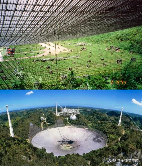 26張罕見的圖片,揭露事物鮮為人知的一面 26張罕見的圖片,揭露事物鮮為人知的一面