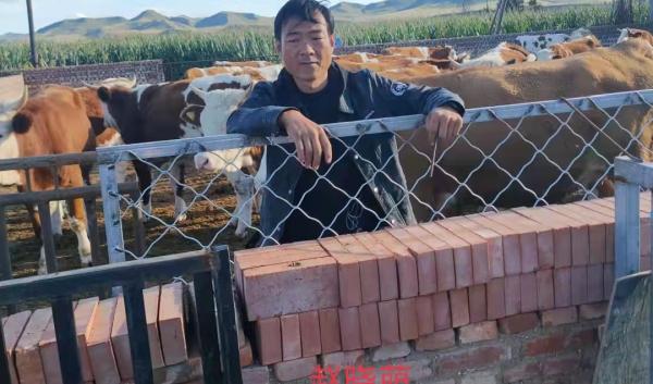 “鄉村振興，萬戶建立”——“農創杯”肉牛養殖科技示範戶已經產生啦！