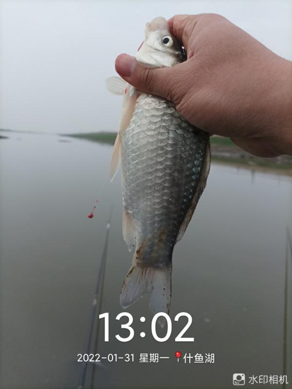 新年新氣象，虎年首釣完美爆護