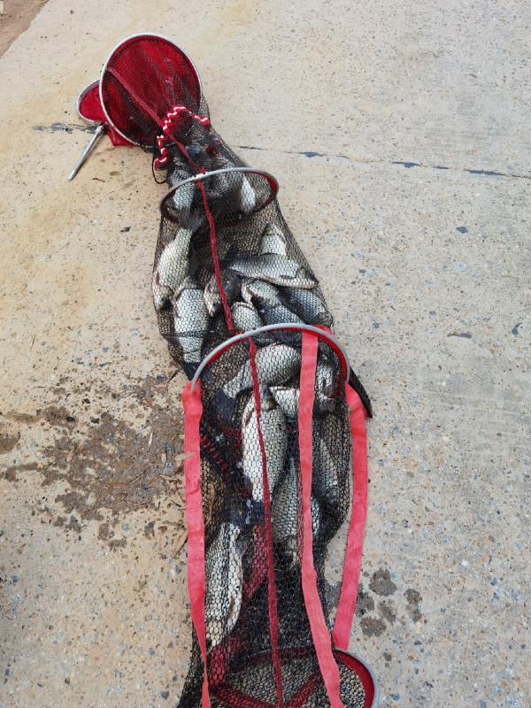 官莊水庫野釣爆護之旅,看看大師如何使用者實踐來證明 官莊水庫野釣爆護之旅,看看大師如何使用者實踐來證明