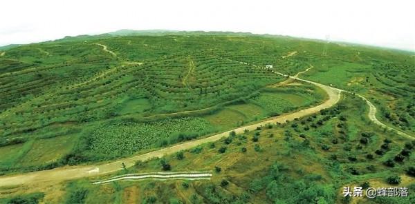 農村生態越來越好，為啥很多過去常見的蟲子卻越來越少？3個原因