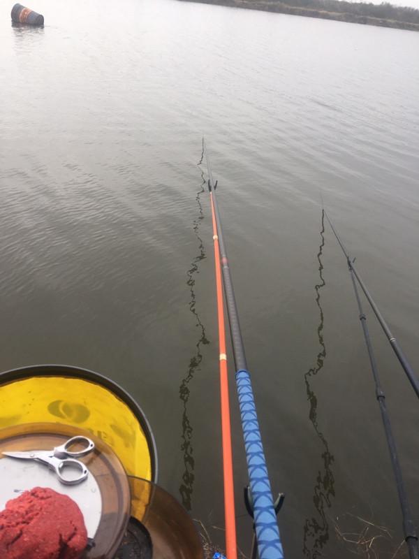 在寒風中作釣的真勇士，調低釣高收大板鯽