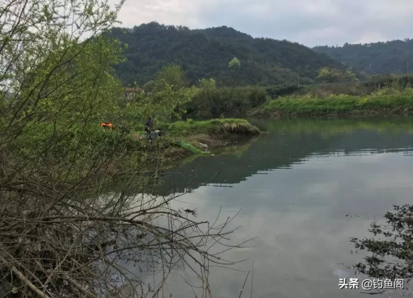 一颳風魚就不開口？多半是釣位錯了！守住這2種位置才有收穫