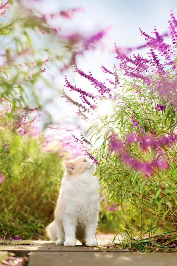 中文，最不缺的就是浪漫