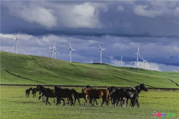行攝草原丨盛夏走進清涼草原 感受悠閒夏日時光 行攝草原丨盛夏走進清涼草原 感受悠閒夏日時光