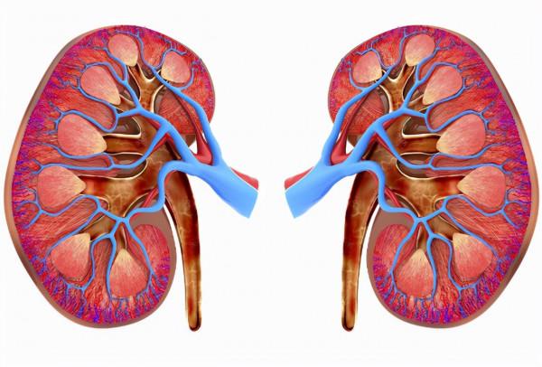 一名尿毒症患者的懺悔：忽視小病、暴飲暴食，如今靠透析活命