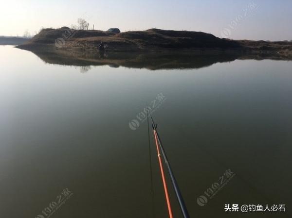 再釣鰱鱅，遇見小雜魚搶窩子，怎麼辦？