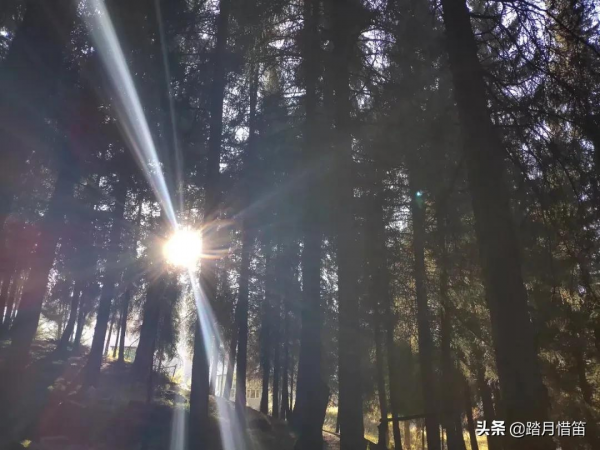 中秋遊新疆 | 去天池 尋找秋天的童話 中秋遊新疆 | 去天池 尋找秋天的童話