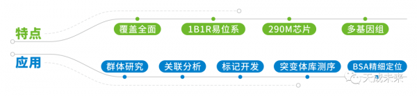 最新小麥SNP晶片及外顯子捕獲晶片