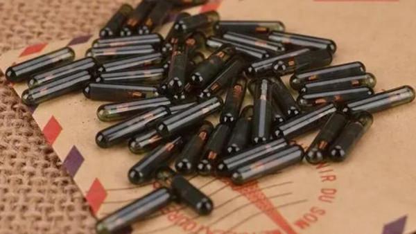 澳大利亞重金通緝一條鯉魚，懸賞500萬！這條鯉魚究竟做了什麼？