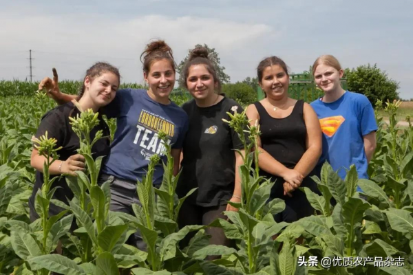 瑞士農民參與式超市興起：自產自銷、自給自足
