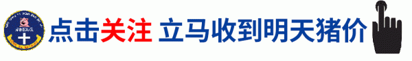 好獸醫動保 | 明天（10月27日）全國最新豬價！豬價突變，繼續下跌