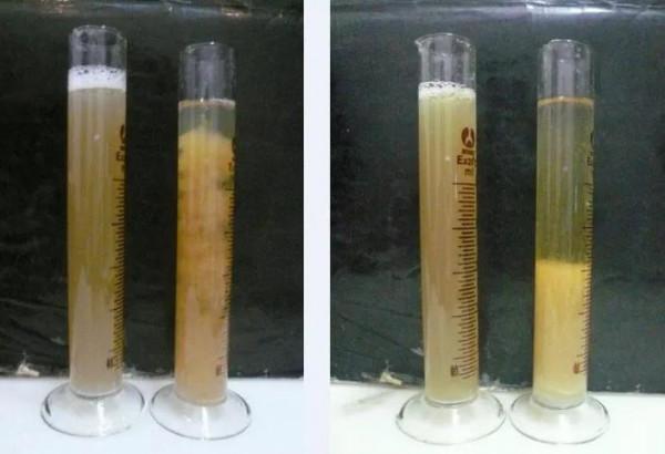 外星生命水熊蟲