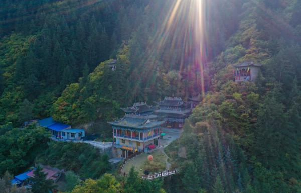 一葉知秋 興隆秋景如畫