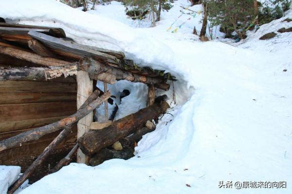 這條徒步線路太美了，這線路適合想去而沒有去過高原的人