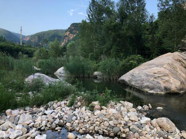 今年霜降也是倉頡千秋,“霜降祭倉頡,洛書傳古今”,啥是洛書? 今年霜降也是倉頡千秋,“霜降祭倉頡,洛書傳古今”,啥是洛書?