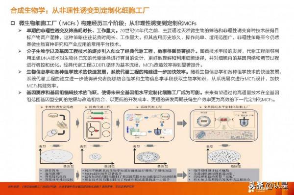 合成生物學產業研究：未來已來，開啟“造物”時代