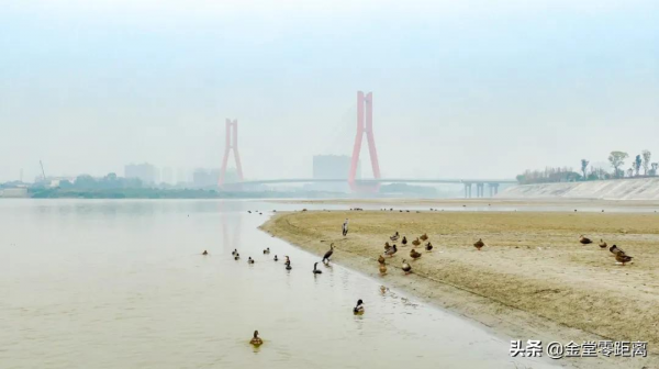 金堂來了一群特殊的客人