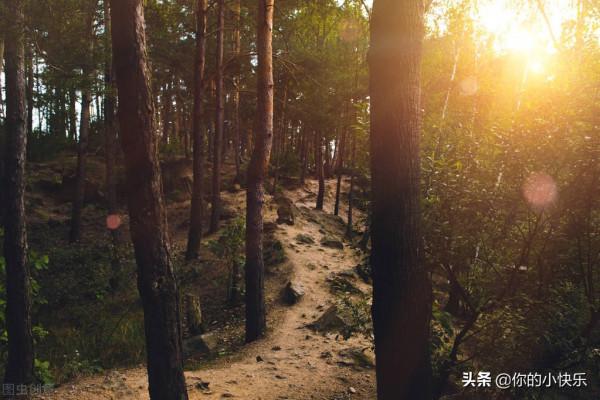 520上市?生存遊戲森林續作森林之子,發售日為明年5月20日 520上市?生存遊戲森林續作森林之子,發售日為明年5月20日