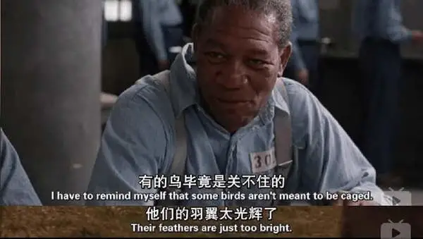 “年前辭職，我們開啟了一場逃離式創業”