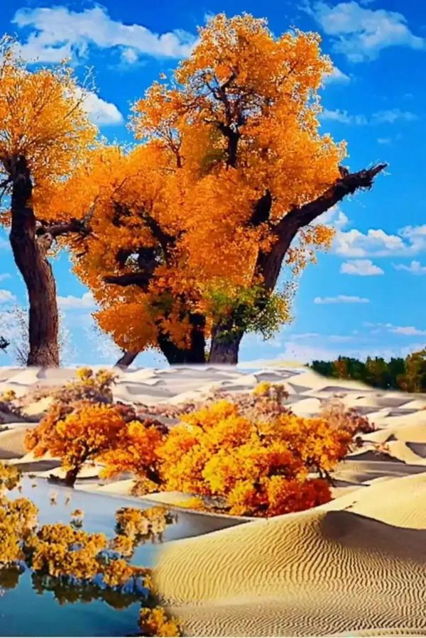 散文：行走在消逝中