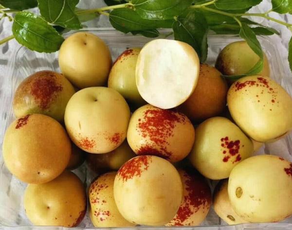 3個月前19元/斤，如今跌至5塊，果農：價格變化太快