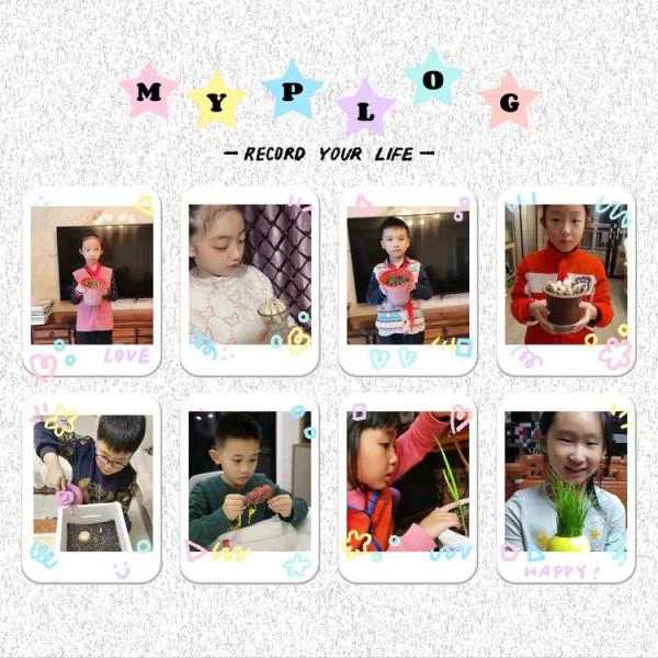 停課不停學“雙減”歡樂多植物種植小樂園（第一期）奇妙的種子