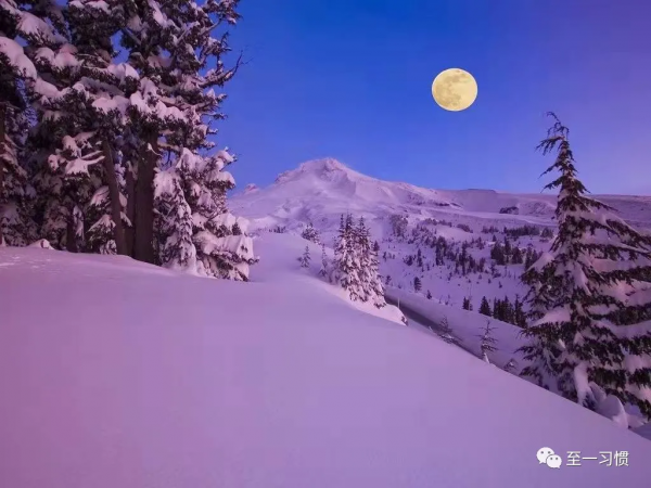 至一習慣：人的巨大勇氣從哪裡來？