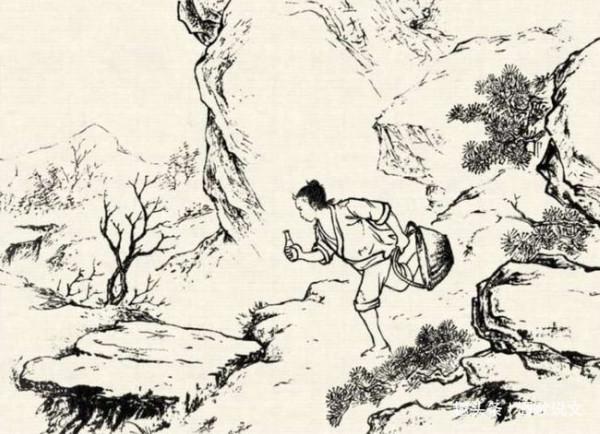 民間故事：傻小子上錯墳，遇到倒走狐狸，從此大富大貴，衣食無憂