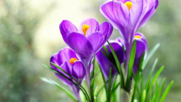 人到中年,遠離長期缺錢的人 人到中年,遠離長期缺錢的人