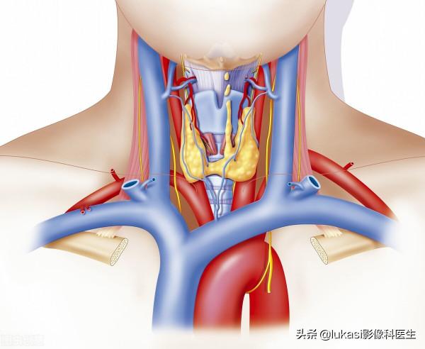 什麼是甲狀腺癌？看看專家是怎麼說的
