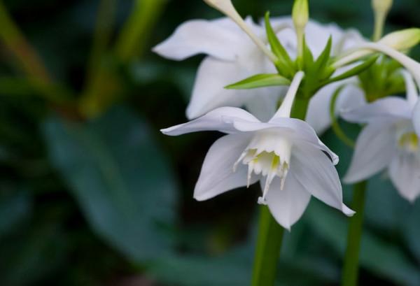 一個家庭過得是否幸福，看看廚房就知道了