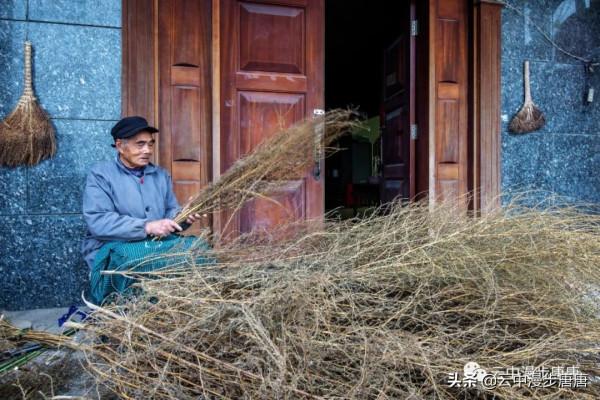 行走的風景——嶽池伏龍之二