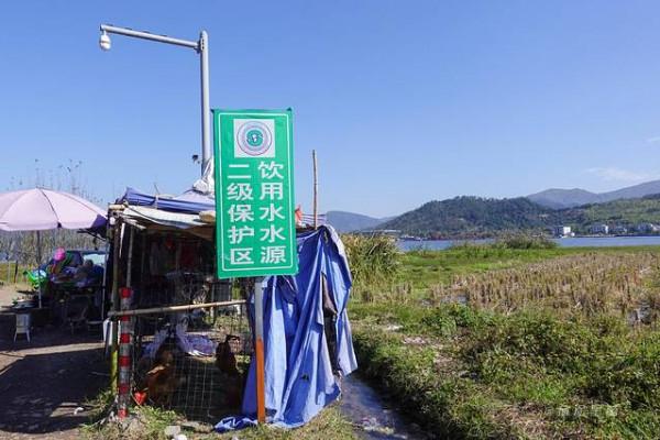 踏著深秋的落葉,去四明山來場自駕遊 踏著深秋的落葉,去四明山來場自駕遊