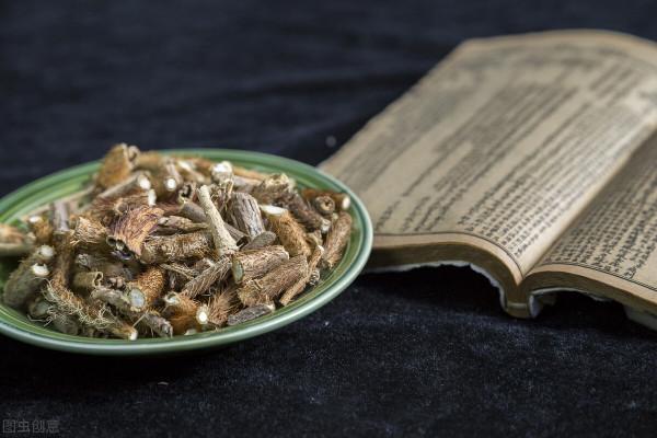 刺五加——一味可補脾、肺、腎、心的藥食同源中藥，不來了解下嗎