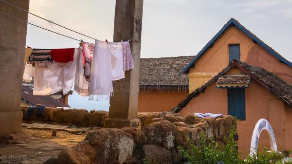 蝨子：遠古而來，30年前農村男女身上幾乎都有，今為何幾近絕跡