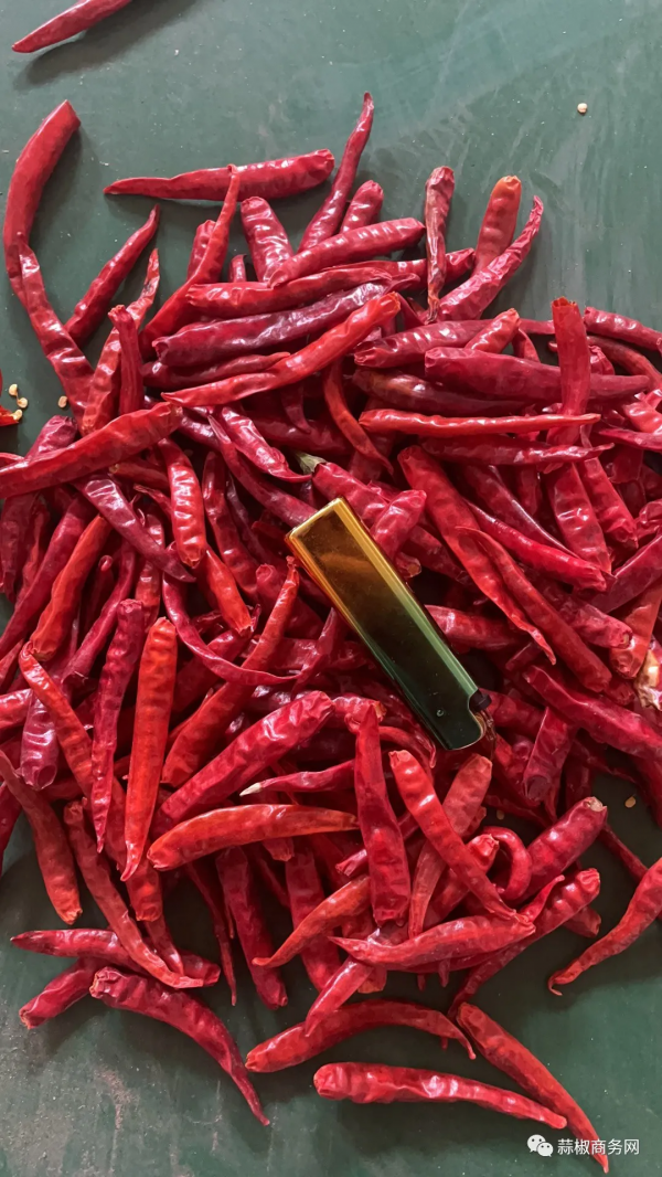 2021年9月20日雨後天晴，辣椒價格再次上漲