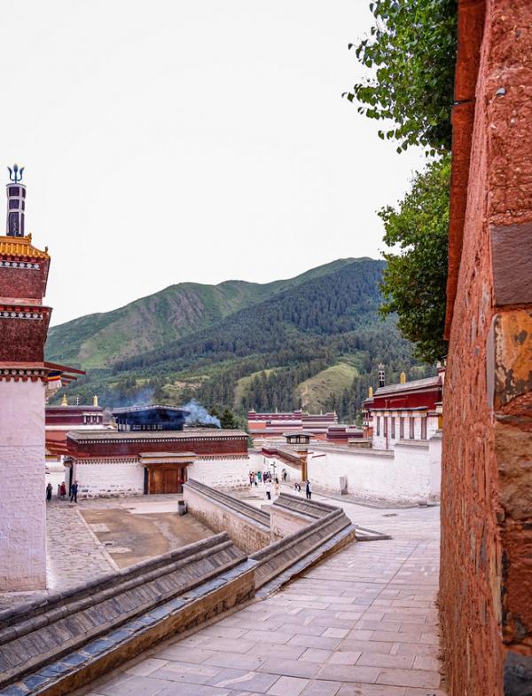 位於甘肅省一寺廟，門票僅需40元，還被譽為“世界藏學府”