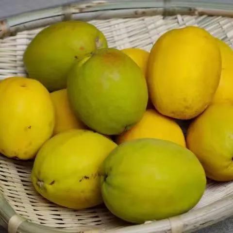 雲南的各種奇葩水果，吃法獨特，我還能叫出17種，都認識算你厲害